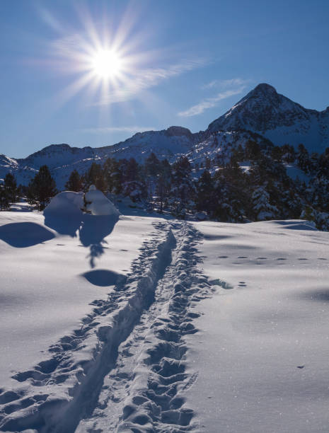 istock First crossing of the early winter. 1361775921