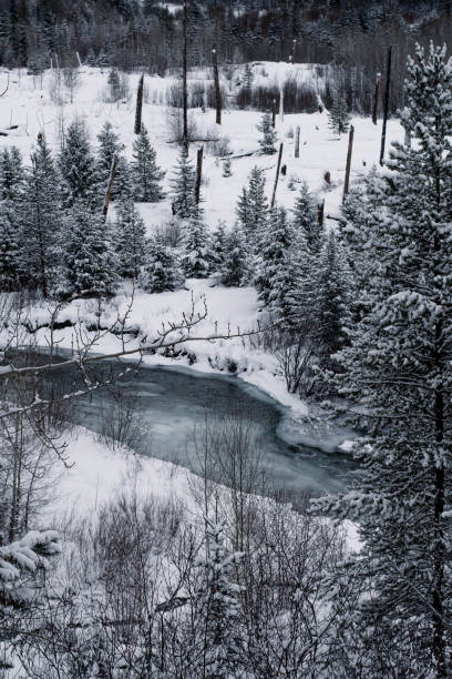 氷河国立公園の山の冬の眺め - landscaped landscape winter usa ストックフォトと画像