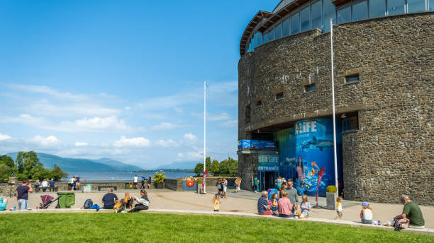 sea life loch lomond aquarium at loch lomond shores, balloch, scotland - loch lomond loch ben lomond scotland imagens e fotografias de stock