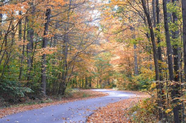istock Cataract Falls State Recreation Area, Cunot, Indiana 1361781775