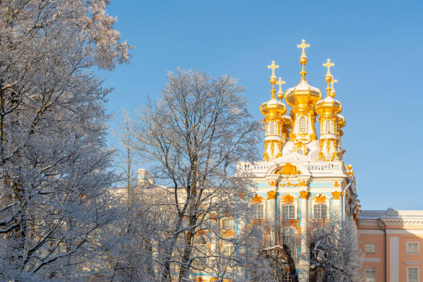 palazzo e parco di caterina in inverno, tsarskoe selo (pushkin), san pietroburgo, russia - palazzo di caterina foto e immagini stock