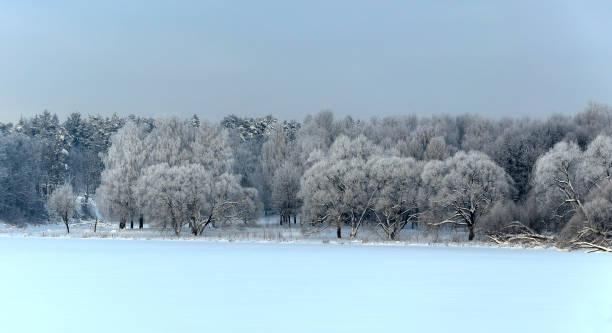 istock Winter landscape with snow covered trees 1361783004