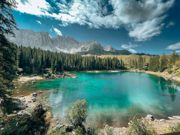 flowers at carezza lake