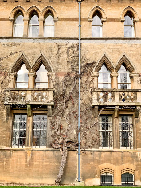 istock Christ Church college facade 1361794296