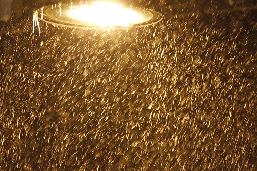 snowfall under the street lamp, iced