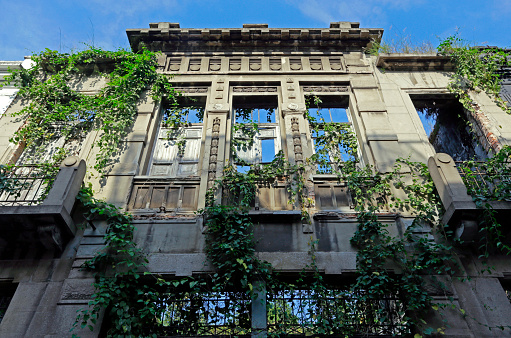 Building covered by foliage in Tbilisi. Green facade with leaves.