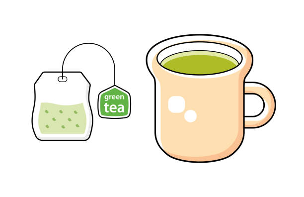 ilustrações, clipart, desenhos animados e ícones de xícara de chá verde e saco de chá - tea cup tea green tea chinese tea
