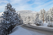 snow covered mountain road through the forest in winter