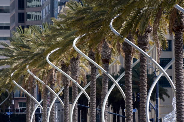 istock White metal pipes  around palm tree row 1361813123