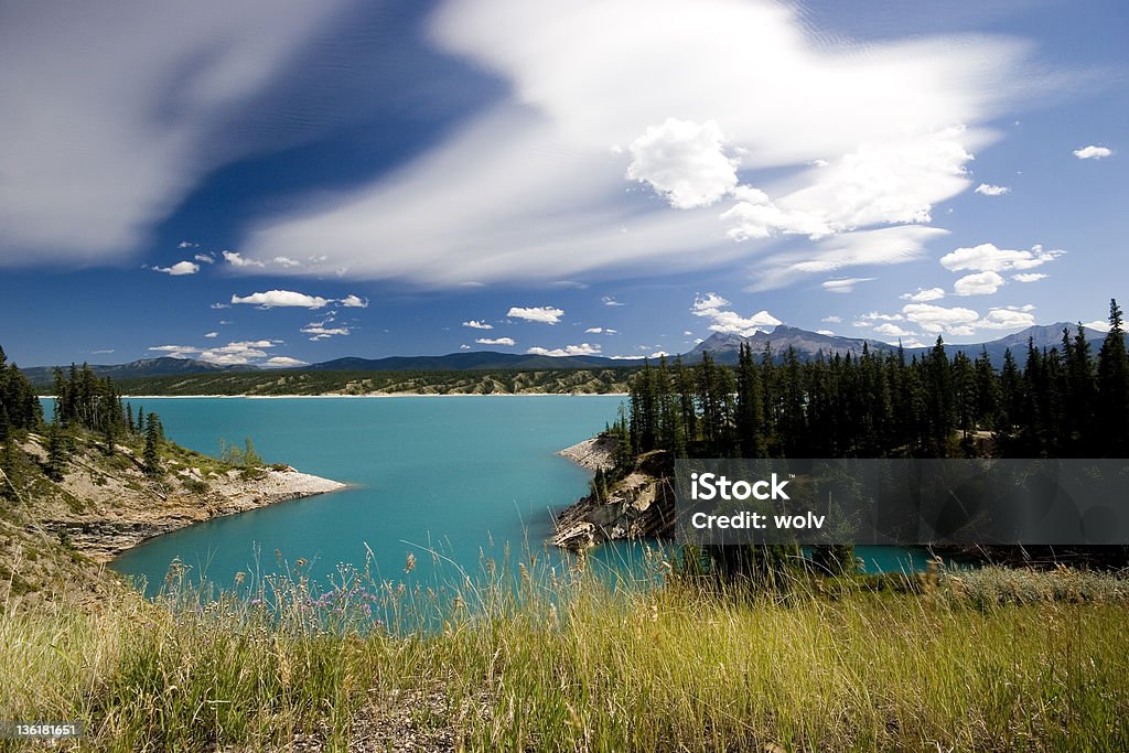 Abraham Lake (Seria - 6 - Zbiór zdjęć royalty-free (Abraham Lake)