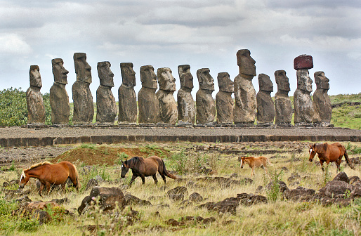 Wild Horses, Ahu Tongariki, Easter Island (Rapa  Nui), South Pacific Ocean