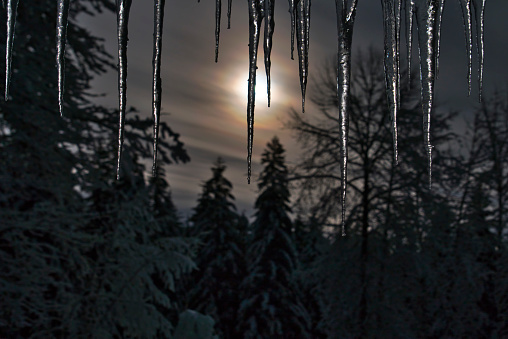 Icicles in moonlight with a haze of clouds with forest in the background.