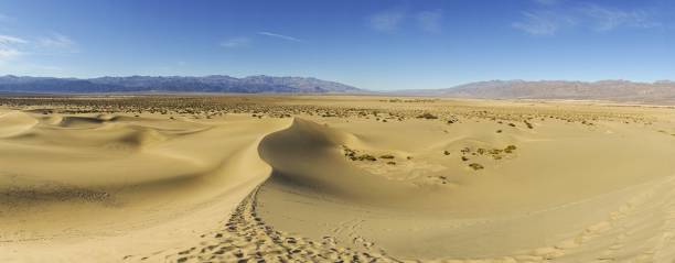 panorama del área desértica del valle de la muerte - sand dune sand orange california fotografías e imágenes de stock