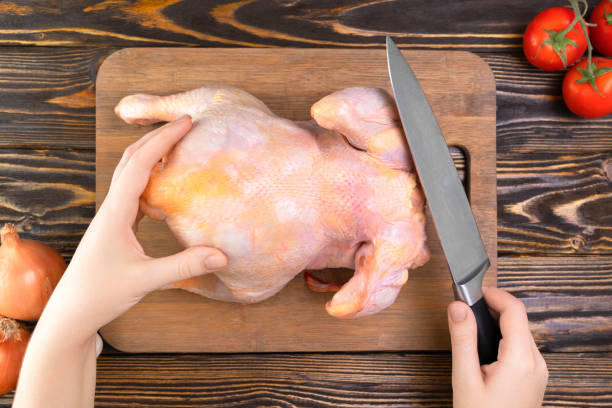 le mani femminili con un coltello si preparano a macellare un pollo fatto in casa - preparation meat single object female foto e immagini stock