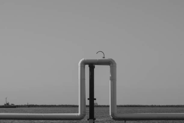 Pure Flow: Crystal Clear Water Streaming from a Faucet