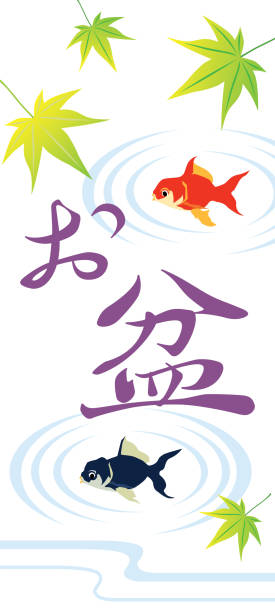 ilustraciones, imágenes clip art, dibujos animados e iconos de stock de ilustración de fondo del festival de obon y carta japonesa. - goldfish dead animal dead body fish