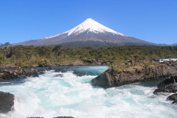 istock Nature in its purest form 1361858118