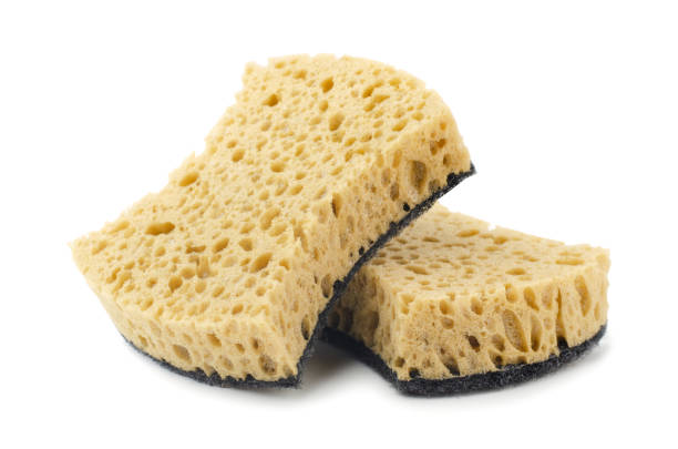 istock Sponges for dishwashing isolated 1361861244