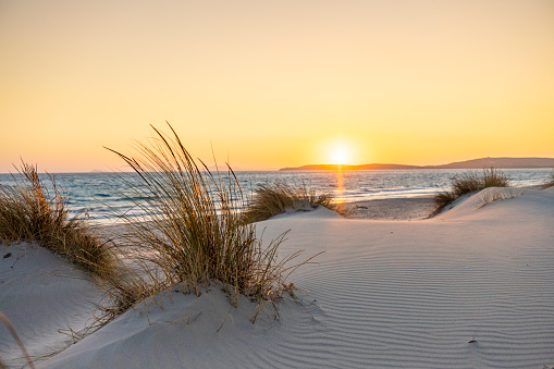 View of a small sand dune along the beach at sunset, Sardinia, Italy.