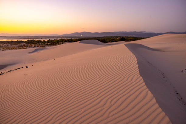 View of a small sand dune along the beach at sunset, Sardinia, Italy.