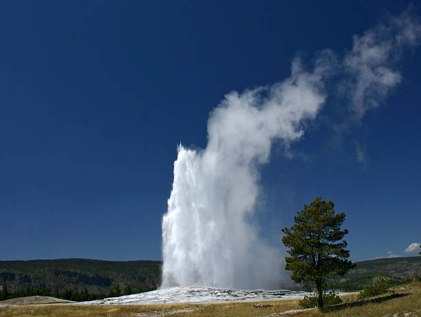 old faithful - reliability old old faithful famous place - fotografias e filmes do acervo