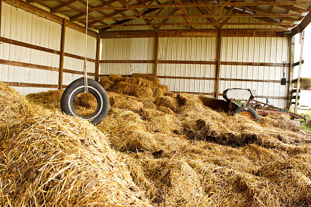 istock Tire Swing Farm 136186950