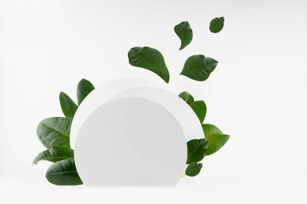 istock Spring tropical fresh abstract stage mockup for presentation cosmetic product, goods, design, advertising with white circles as podium with flow green leaves fly and levitate in air in sunlight. 1361869738