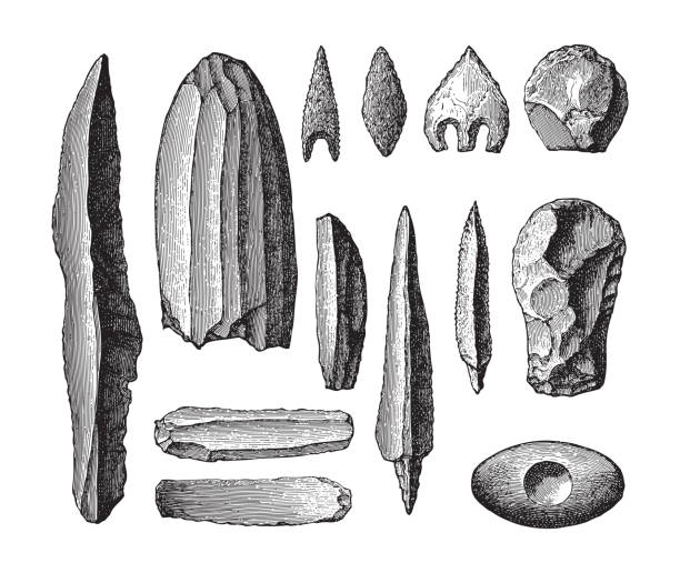 ilustrações, clipart, desenhos animados e ícones de coleção de ferramentas da idade da pedra - ilustração gravada vintage - prehistoric antiquity