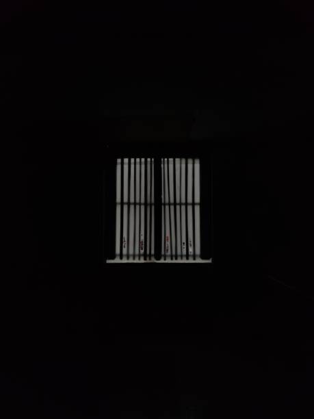 istock Still Life Photography 1361871414
