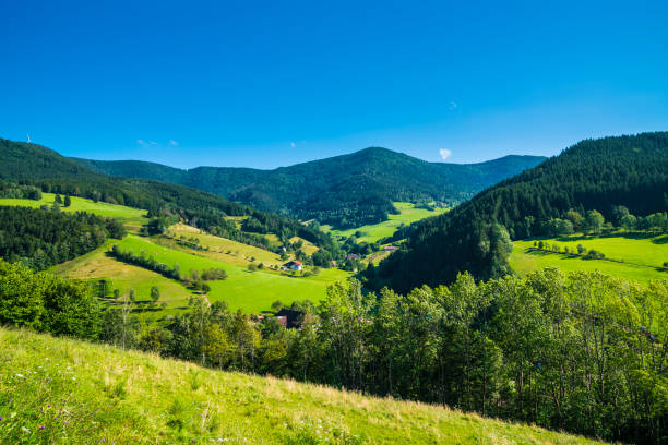 ドイツ、山の間の森の端にある自然景観観光ハイキング地域の黒い森のパノラマビュー - black forest forest sky blue ストックフォトと画像