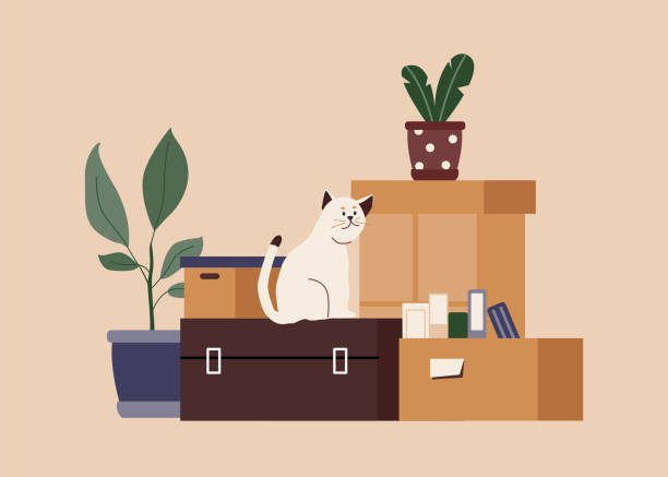 Paper cardboard boxes with stuff and cat for relocation. Cardboard boxes with stuff, books, houseplants, suitcase and cat. Relocation concept. Moving to new home or appartment. Flat vector illustration isolated on beige background. belongings stock illustrations