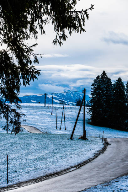 istock Road in snowy landscape 1361877887