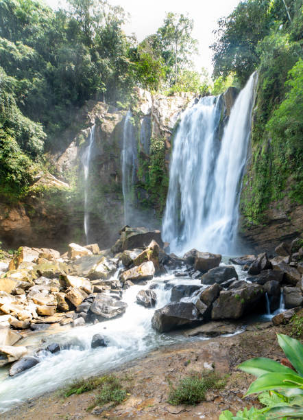 istock Nauyaca waterfalls  in Costa Rica 1361882973