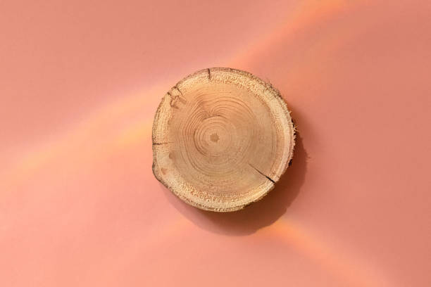 istock Woodcut lying on a trendy pink background 1361885310
