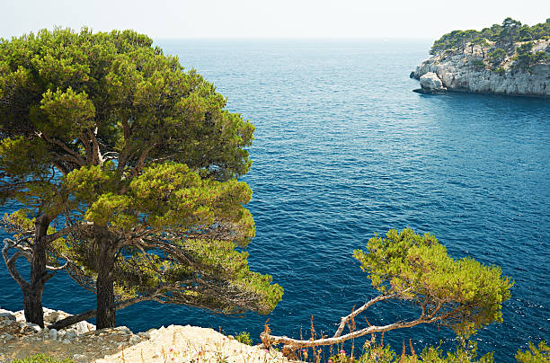 istock Mediterranean sea near Cassis 136189753