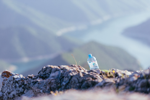 A plastic bottle left in untouched nature.