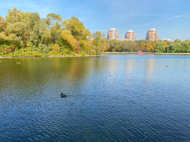 istock park in autumn at dry sunny fall day 1361898905