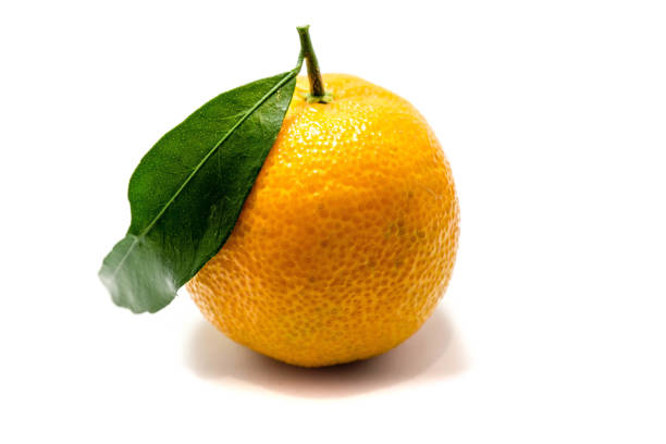 istock Mandarins with and without peel isolated on white background 1361902854
