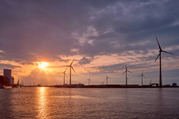 istock Wind turbines in Antwerp port on sunset. 1361902903