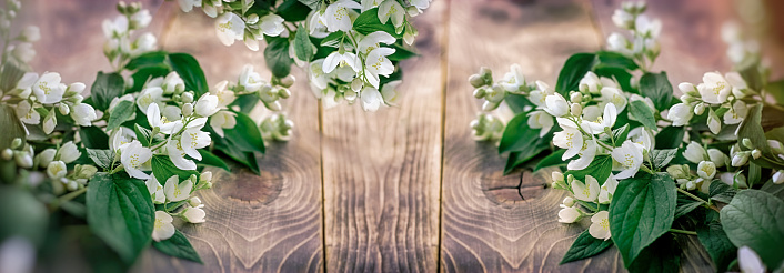 Beautiful, fragrant white flowers - jasmine flower on rustic table