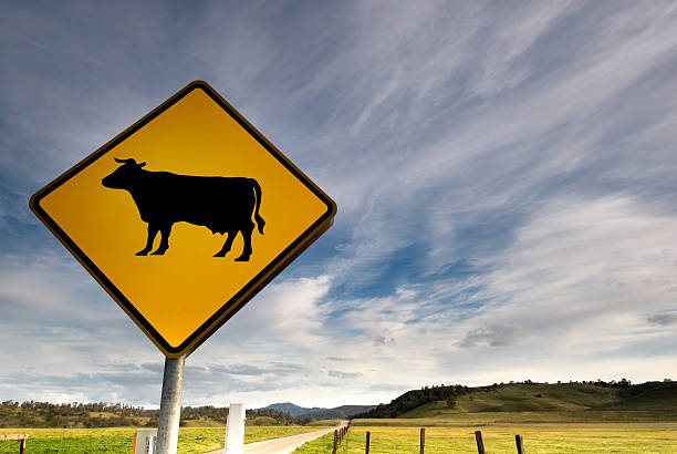 istock Country Fields and Cow Sign 136191037