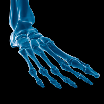 Digital medical illustration: Anterior (front) perspective 45 degree rotation (Anterior oblique 45) x-ray view of human foot and ankle. Featuring: