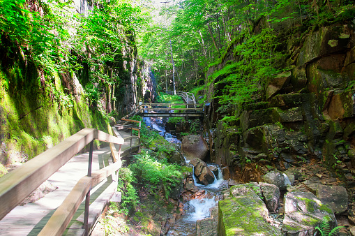The wooden boardwalk along the flume brook within the flume gorge scenic area in lincoln new hampshire.
