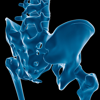 Digital medical illustration: Posterior (back) perspective 45 degree rotation (Posterior oblique 45) x-ray view of human pelvis. Featuring: