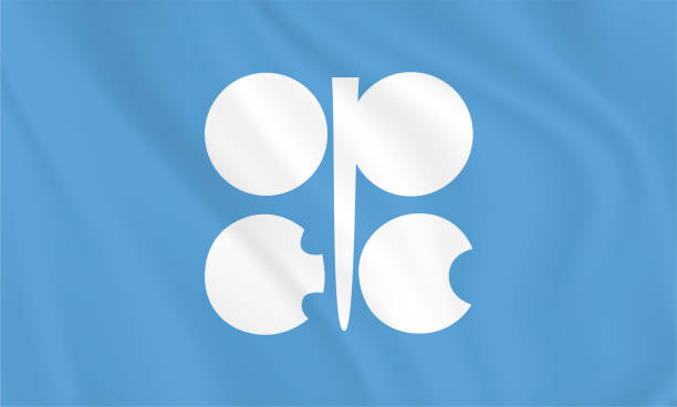 illustrazioni stock, clip art, cartoni animati e icone di tendenza di bandiera dell'opec ( organizzazione dei paesi esportatori di petrolio ) bandiera dell'opec. pulsante con bandiera dell'opec - flag national flag africa african culture