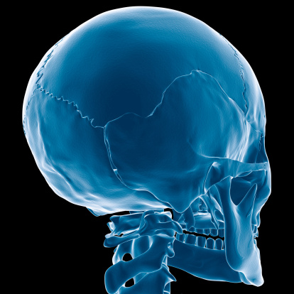 Digital medical illustration: Posterior (back) perspective 45 degree rotation (Posterior oblique 45) x-ray view  of human skull. Featuring: