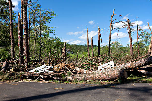 Tornado Damage stock photo