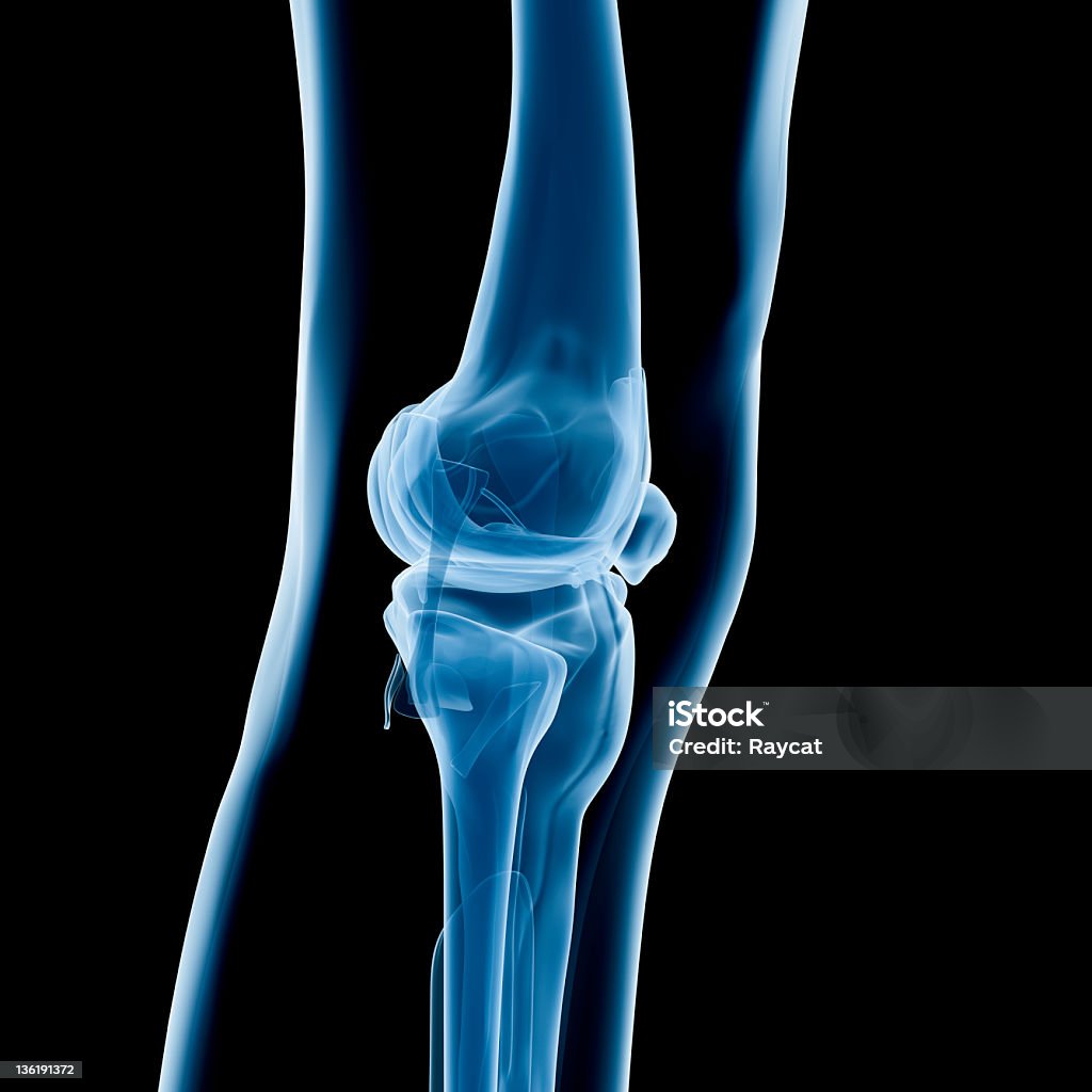 La radiografía de la rodilla - Foto de stock de Anatomía libre de derechos