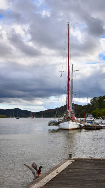 istock Boats on river and duck jumping on pier 1361914976