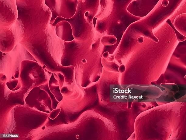 Circolo Ematico Xxxl - Fotografie stock e altre immagini di Flusso sanguigno - Sangue umano - Flusso sanguigno - Sangue umano, Arteria umana, Biologia